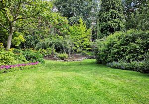 Optimiser l'expérience du jardin à Aire-sur-la-Lys